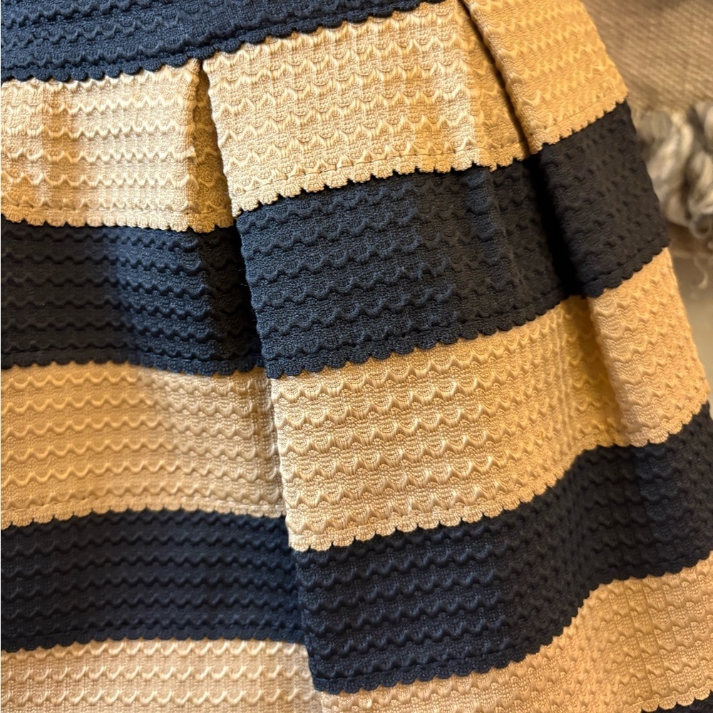 Neslay Designer Stylish Black and Tan Striped Skirt - Picture 13 of 16